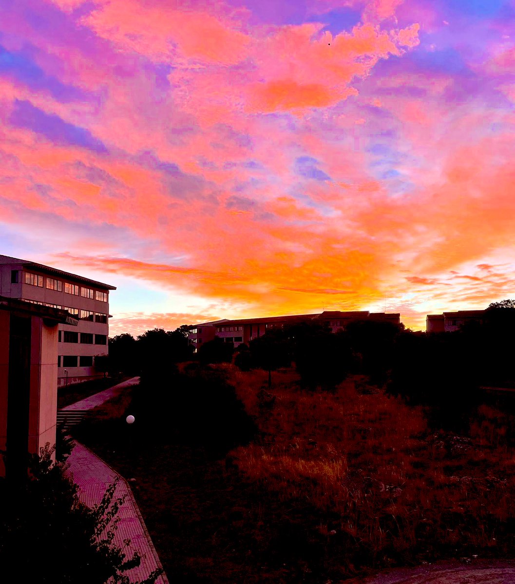 Un amanecer en la <a href="/PoliciaEscuela/">Escuela Nacional de Policía 🇪🇸</a> 🫶

«La belleza de las cosas existe en el espíritu de quien las contempla» DH

Feliz semana!! 

🌅 💙👮🏻‍♀️