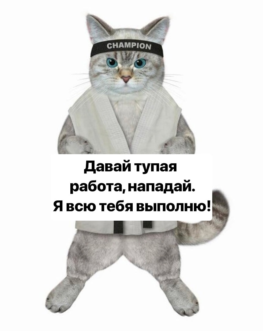 🐸жабья принцесса👑 (@kxiq7u7oc8nsgnc) on Twitter photo 