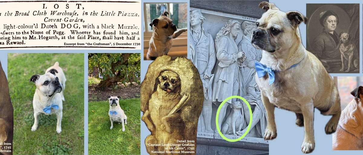 HogarthsHouse's tweet photo. Happy #NationalPugDay! We are very pleased to introduce you to fabulous ✨Louis✨, a local #Chiswick resident who just happens to look an awful lot like #Hogarth’s infamous companion…! 🐶🍁🌳
 
Long may we celebrate the funny, wrinkly, and lovable #pug for evermore. 🩵🩵🩵 https://t.co/xKckVOu800