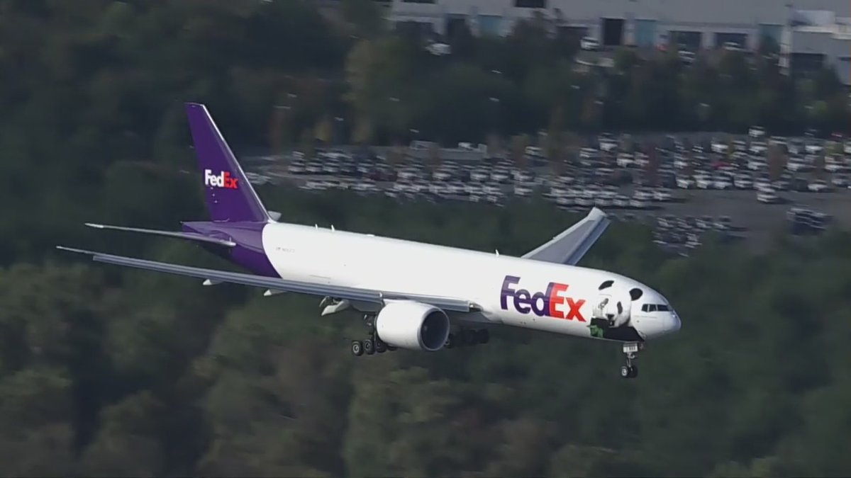 fox5dc's tweet photo. The Panda Express is officially on the ground! ✈️🐼🐼 DETAILS: https://t.co/O7D1kbzbk1 https://t.co/9qtzoWGr2N