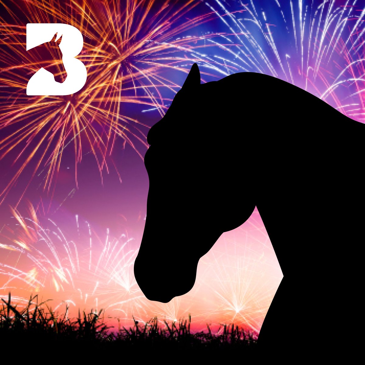 BransbyHorses's tweet photo. As fireworks night approaches, it's important to remember that loud noises and bright lights can be terrifying for horses and their owners.

We have put together some helpful tips on how to keep your equines safe

https://t.co/UdRzaXria3 

#FireworksAwareness #AnimalWelfare https://t.co/RcoFSOuXH6