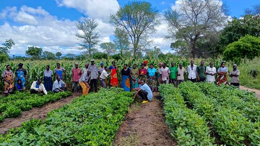 CARE Österreich (@careaustria) on Twitter photo How can food be secured in southern Africa during the #climatecrisis? The FoSTA project by CARE and the EU is looking into this and sustainable agriculture: care.at/presse/klimakr… <a href="/fosta_health/">FoSTA Health project</a> #WorldFoodDay <a href="/HorizonEurope/">Horizon Europe</a> <a href="/UKRI_News/">UK Research and Innovation</a> How can food be secured in southern Africa during the #climatecrisis? The FoSTA project by CARE and the EU is looking into this and sustainable agriculture: care.at/presse/klimakr… <a href="/fosta_health/">FoSTA Health project</a> #WorldFoodDay <a href="/HorizonEurope/">Horizon Europe</a> <a href="/UKRI_News/">UK Research and Innovation</a>