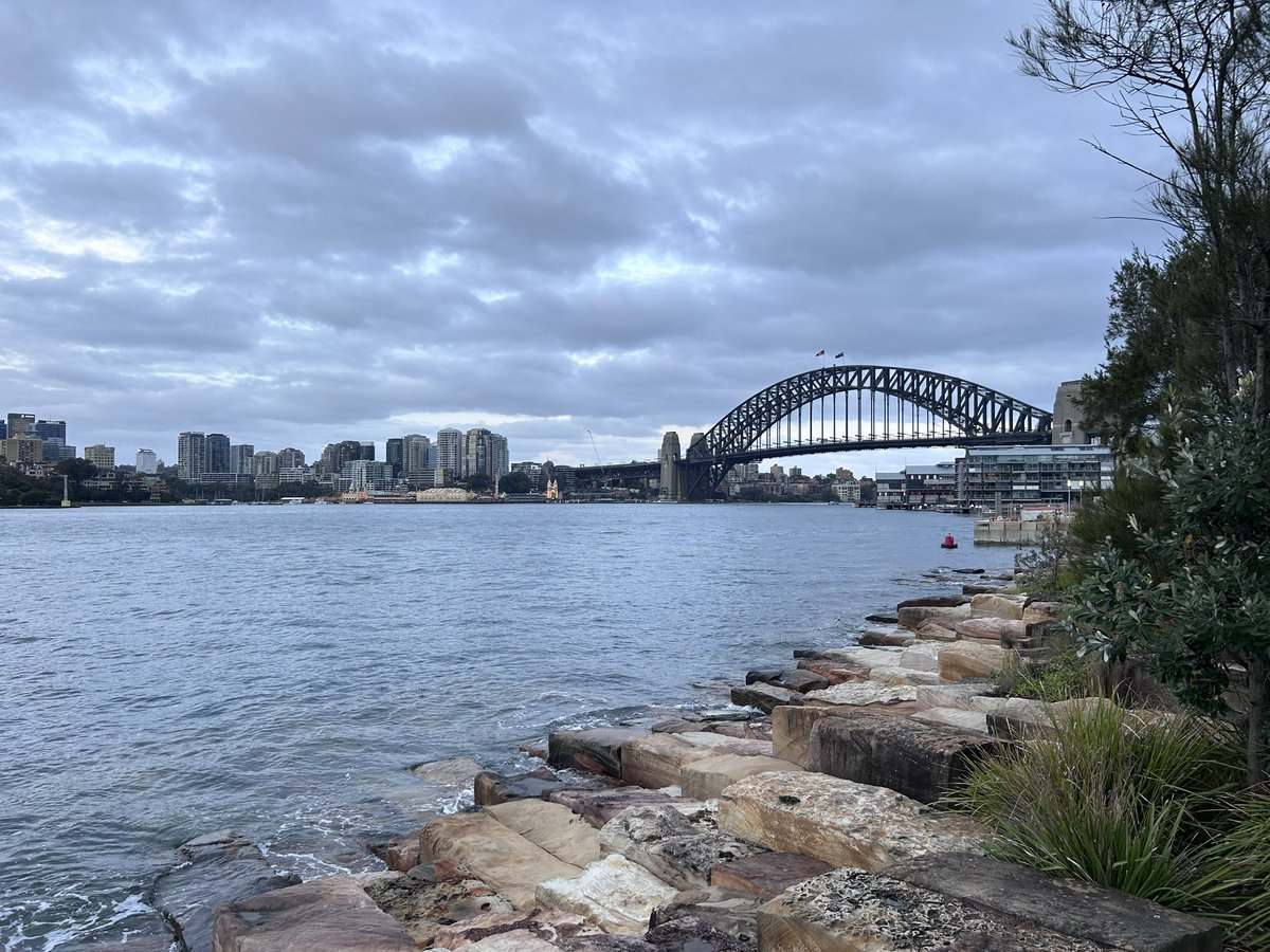 Hello Sydney 🇦🇺🦘🐨! Looking forward to catching up with friends and colleagues at #ISOM2024! <a href="/IntSocObMed/">ISOM</a> <a href="/SOM_ANZ/">SOMANZ</a>