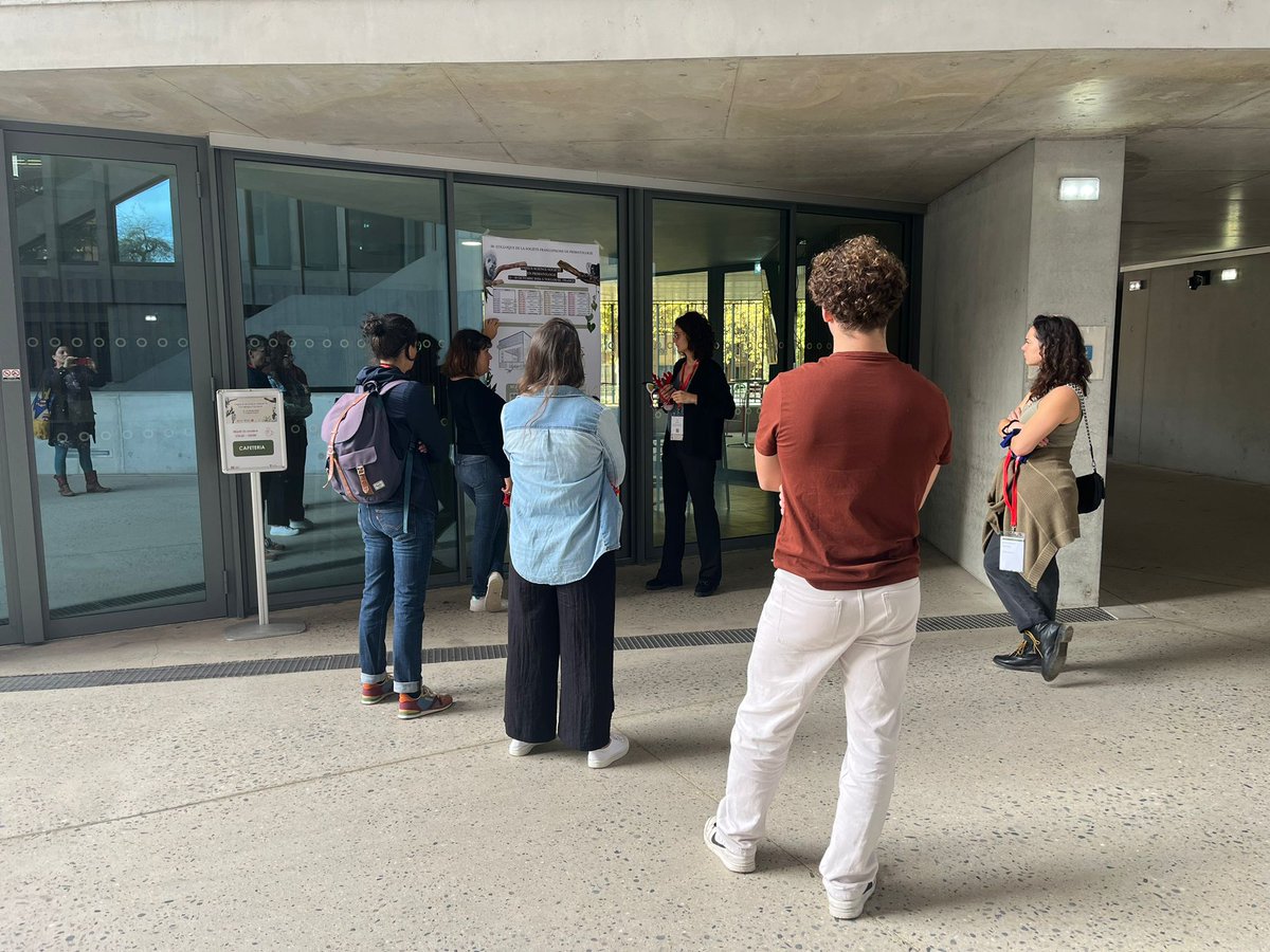 La Société Francophone de Primatologie - SFDP tweet media