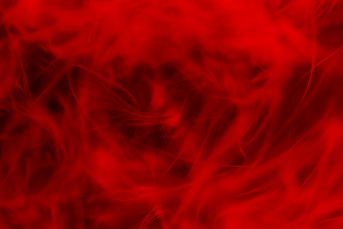 artmajeur's tweet photo. ๐ด Red: From Figurative to Abstract
Four images, one journey into red: from form to dissolution.
Artists featured in this post:
1) L'Individu
2)Mathilde Oscar
3)Viktor Artemev
4)Carmen Carbonell
#RedArt #FigurativeToAbstract #PhotographyInFocus https://t.co/XWK4xUvvSZ