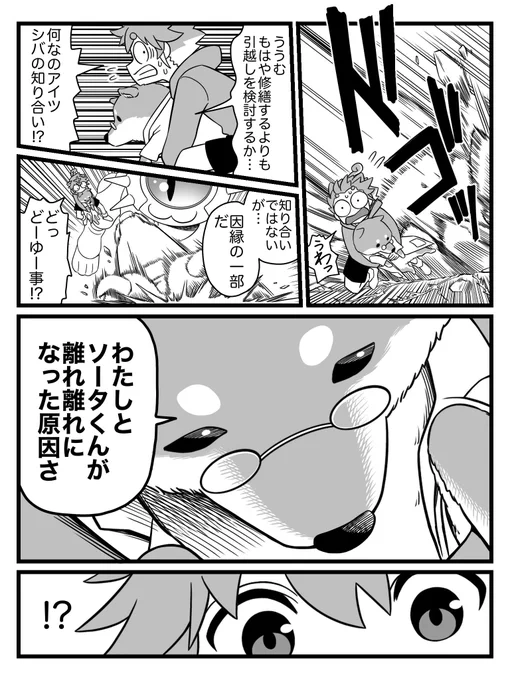 9/④ 