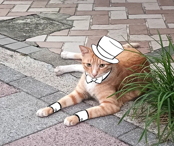 在我眼中看來是這樣