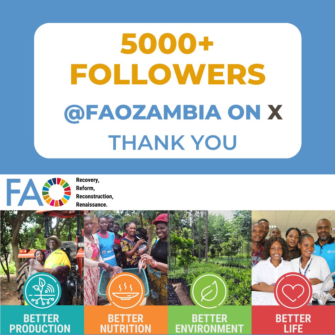 FAOZambia's tweet photo. 🌍🎉 Milestone Alert for @FAOZambia! 🎉 We've reached 5,000 followers on X! Thank you, for connecting with us as we work towards a more sustainable and food-secure future. 🇿🇲 Let’s keep growing together! 🌾🐟🐝 https://t.co/rAbCuFF0KJ