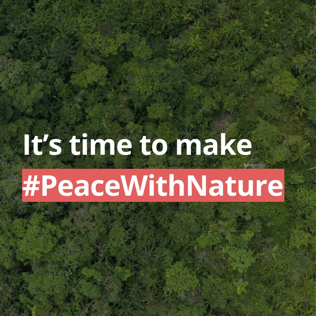 EU_ENV's tweet photo. On Monday at the Environment Council, we secured ambitious negotiating mandates for the upcoming
🇨🇴 #COP16Colombia on Biodiversity
🇦🇿 #COP29 on #ClimateChange
🇸🇦 COP16 on Desertification

Read how we plan to secure a successful outcome #ForOurPlanet 👉 https://t.co/SzXdcnSG2V https://t.co/XxZuR6J7XJ