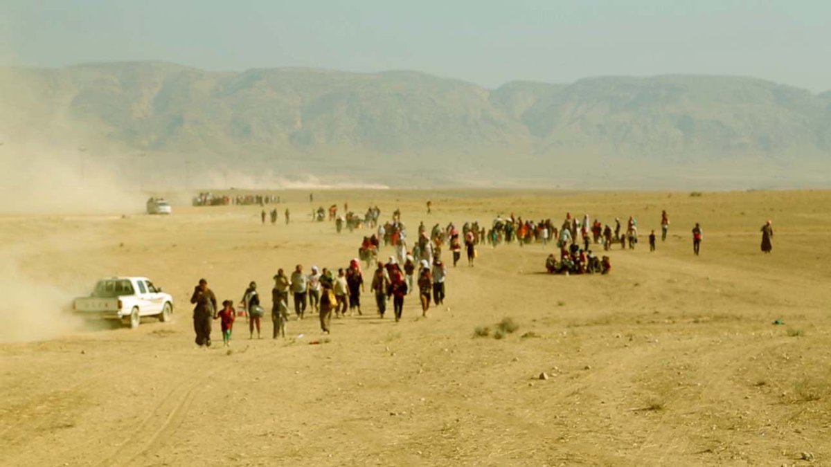 docfilm42 tweet media