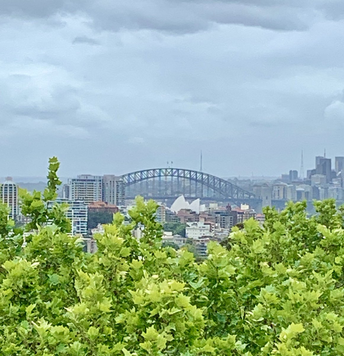 ⁦<a href="/AUSegyptology/">Average Aussie Egyptologist (Thérèse Clarke)</a>⁩ hope to see you tomorrow, or Friday?