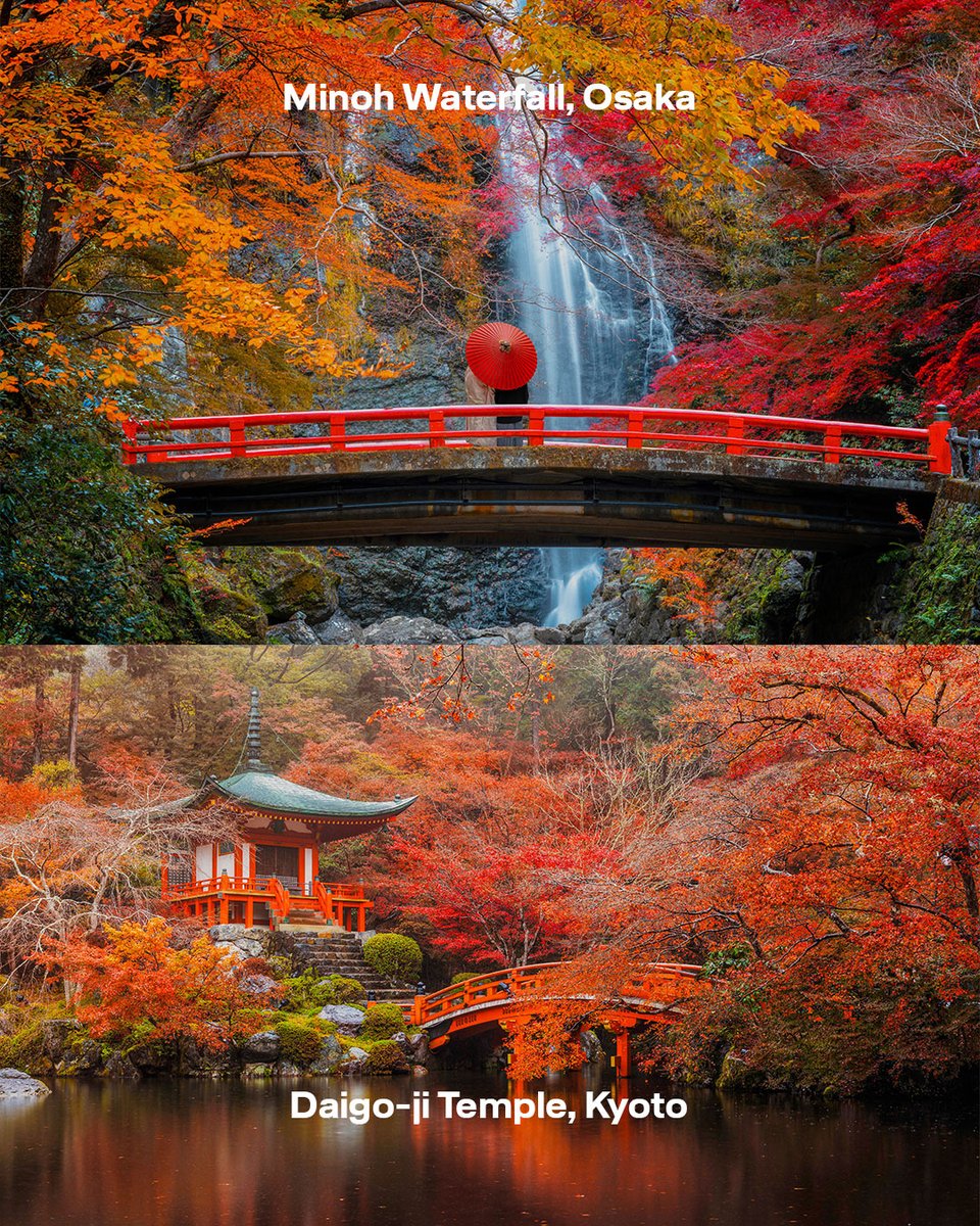 Lufthansa tweet media