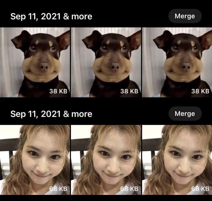 TwiceFla tweet media