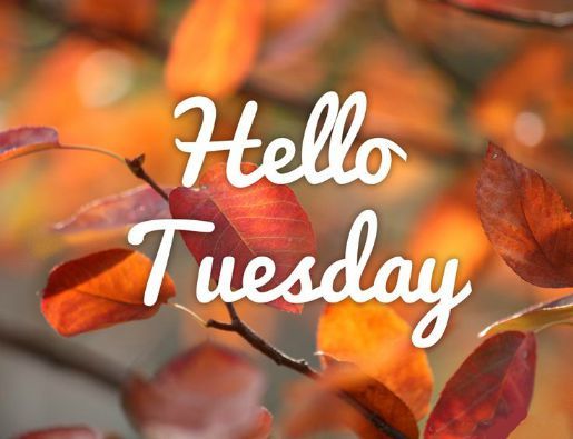 Welcome back, #HCDSBfam! We hope you had a safe, fun &amp; restful Thanksgiving long weekend. Have a spectacular week! 🌟🤗