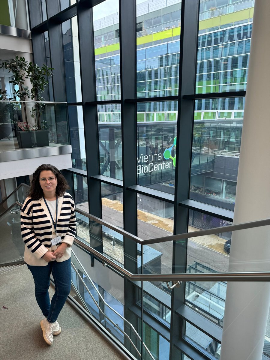 <a href="/RosanaCaceres_/">Rosana Cáceres</a> from <a href="/MarconSBSLab/">Marcon Lab</a> is working in <a href="/NRivron/">Nicolas Rivron</a>’s lab at <a href="/IMBA_Vienna/">IMBA imbavienna.bsky.social</a> for 3 months with the support of <a href="/EMBO/">EMBO</a> Scientific Exchange Grant! Way to go Rosana!
