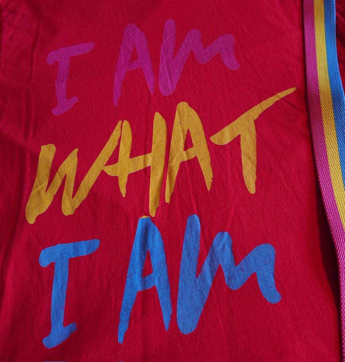 Hello! Sorry I've been a bit quiet here. 

Continuing 2024's voyage of self-discovery (I'm trans - Hi!) I’ve realized something else about myself: I’m pansexual.

So, here I am with my shiny new *second* membership to the LGBTQ+ club! 💗💛💙 #sapphic #LGBTQ