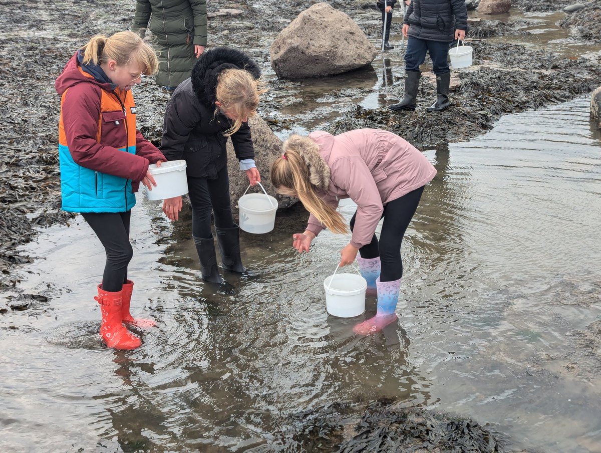 Hibaldstow Academy tweet media