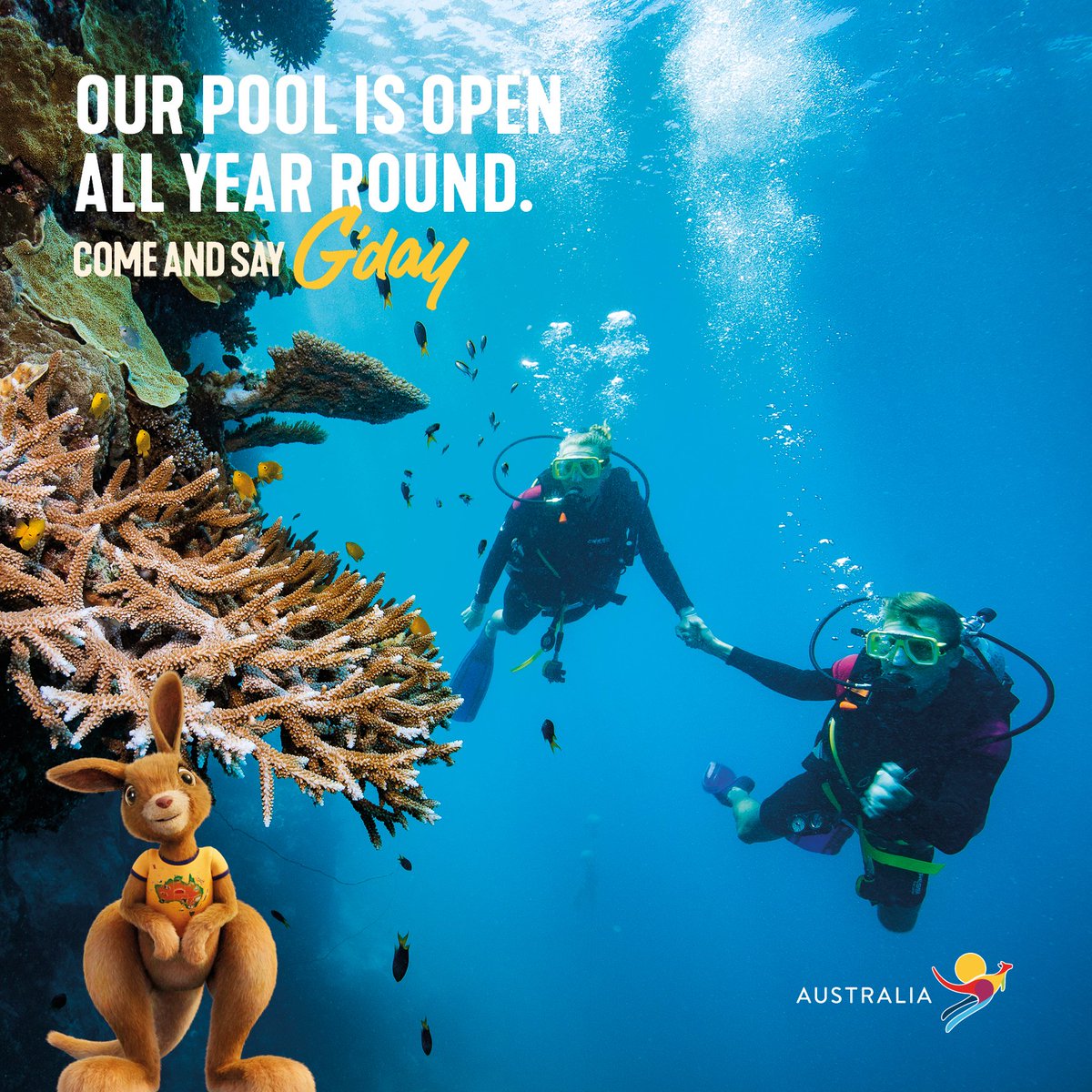 First Class Holidays tweet media