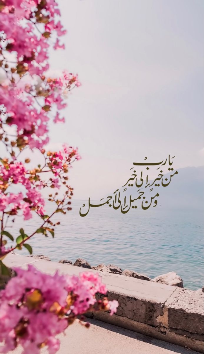 يارب ..
من خيرٍ إلى خير ومن جميلٍ الى أجمل