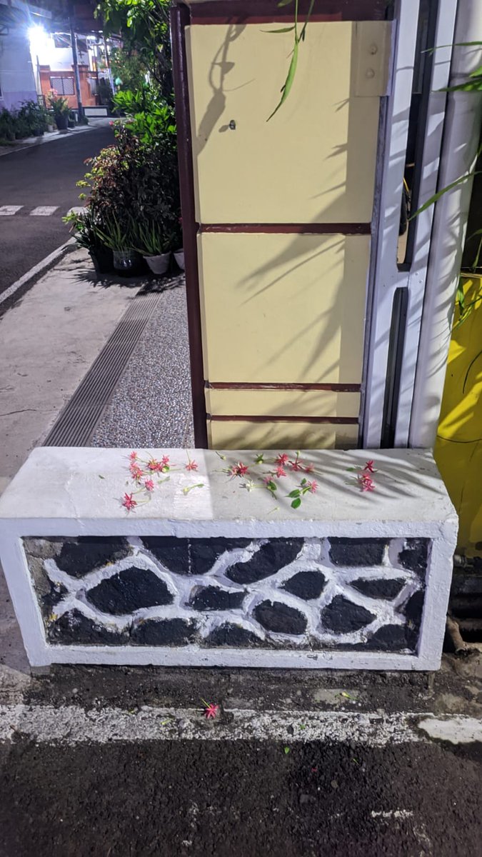 SooInka's tweet image. Sakit hati bgt sama orang yg nabrak kucingku djalan, kalo lu bukan pecinta kucing setidaknya punyalah nurani kalau lu nabrak lu tanggungjawab kasih tau orang2 sekitar kalau  lu nabrak kucing jgn kabur dibiarin aja,bagi penyayang  hewan,peliharaannya tuh udah kaya keluarga sendiri