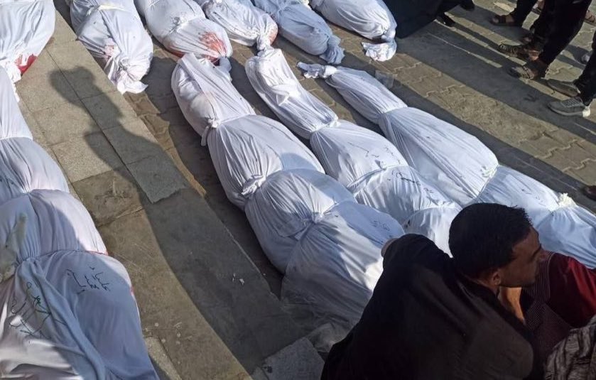 Sarah Wilkinson tweet media