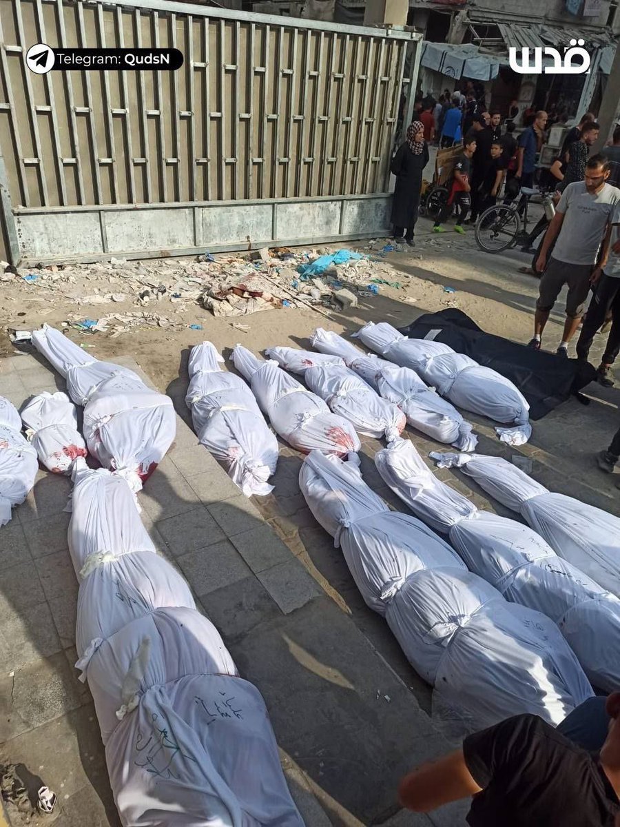 Sarah Wilkinson tweet media