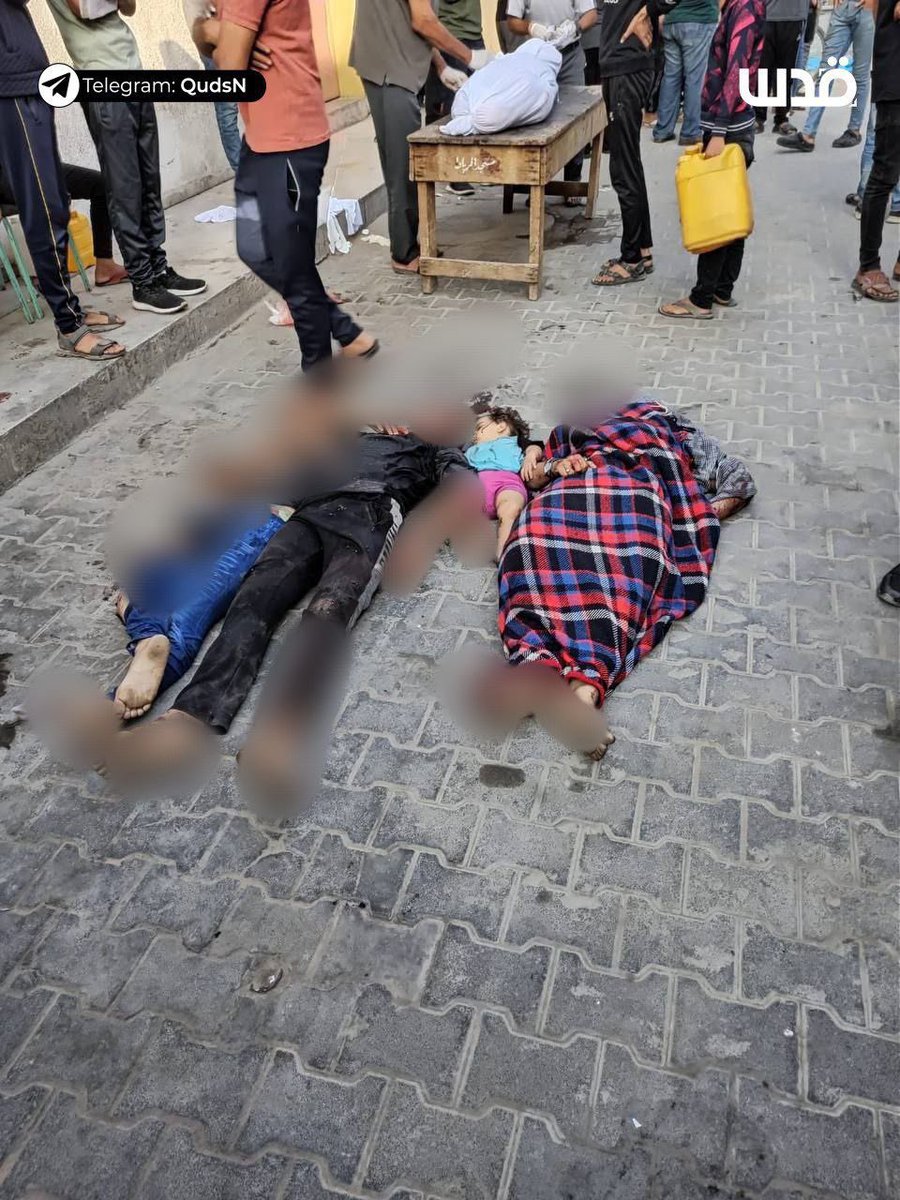 Sarah Wilkinson tweet media