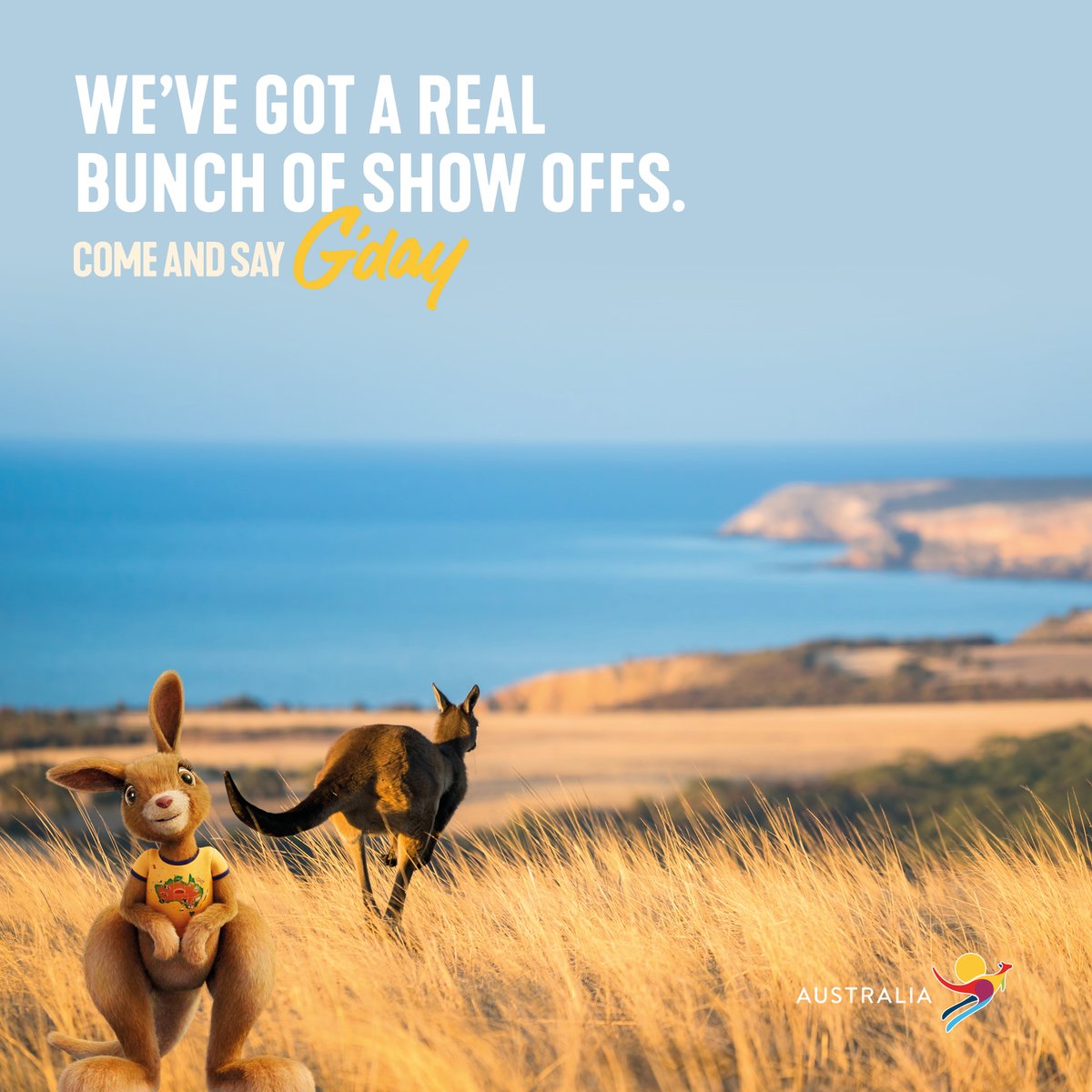 First Class Holidays tweet media