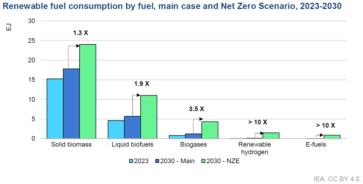 The <a href="/IEA/">International Energy Agency</a> recently released its "Renewables 2024" report, offering forecasts for renewable energy deployment in electricity, transport, and heat through 2030. It highlights key challenges and barriers to growth, with a special focus on renewable fuels like bioenergy, biogases,