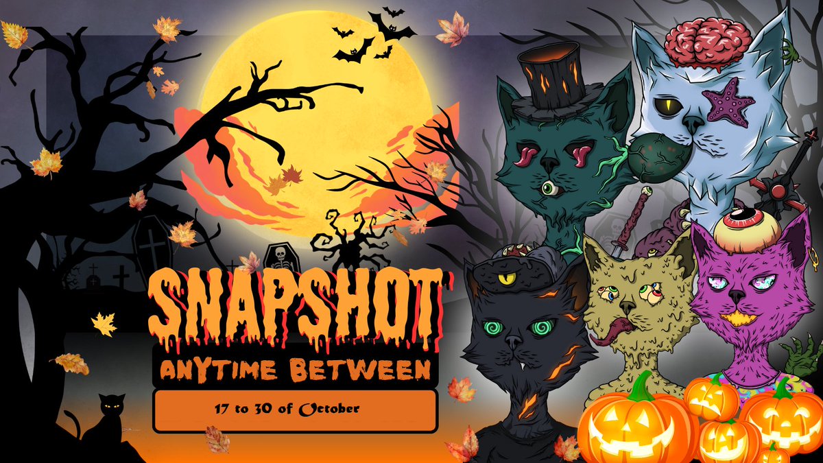 The Elite Cats tweet media