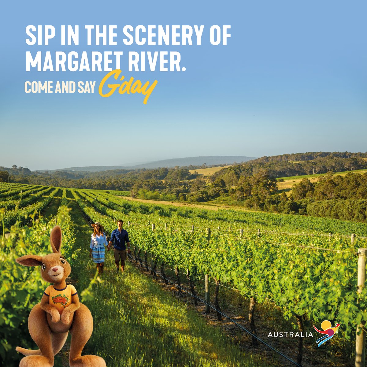 First Class Holidays tweet media