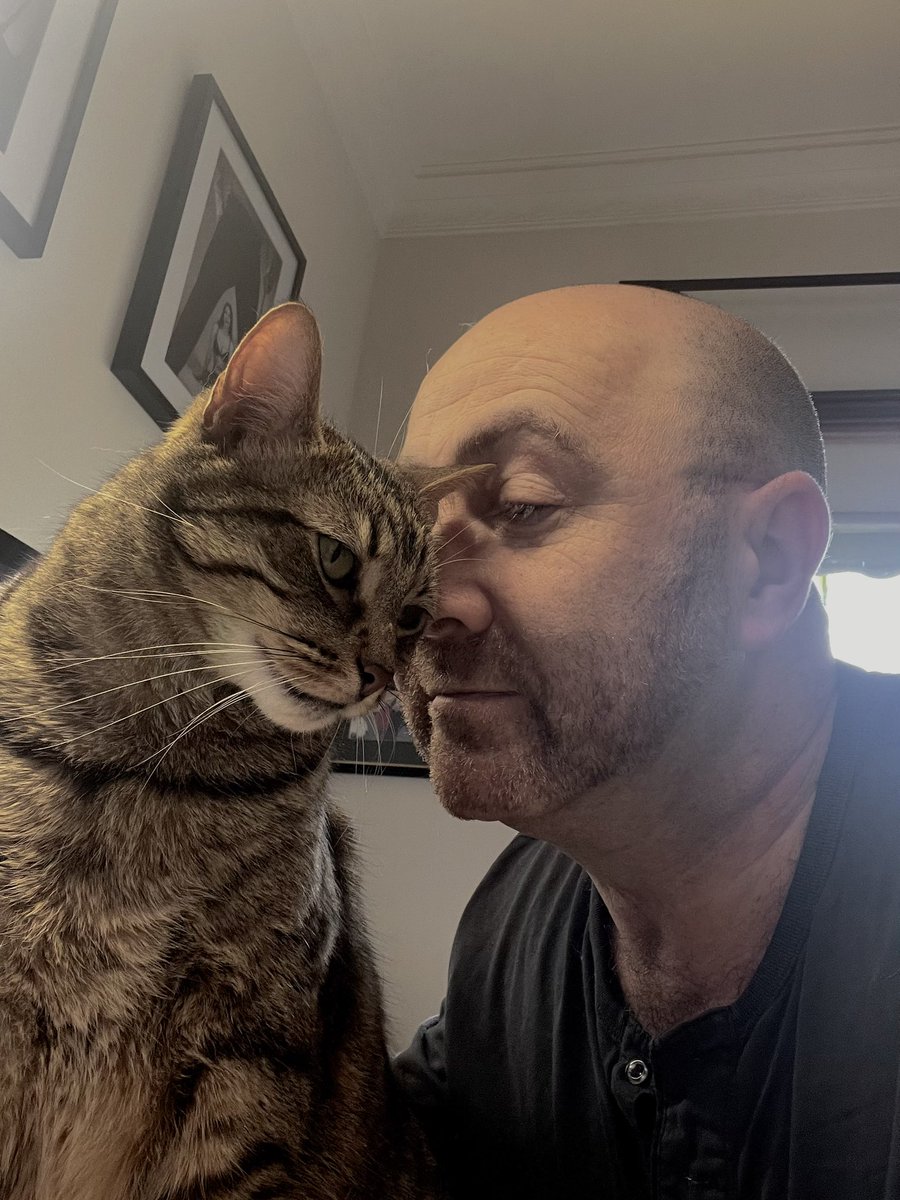 I’m just a man, sitting behind his cat, asking her to stop stepping on the keyboard.