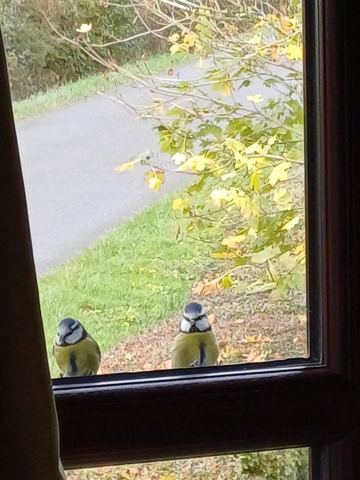 Writing.... Suddenly got the feeling I was being watched!