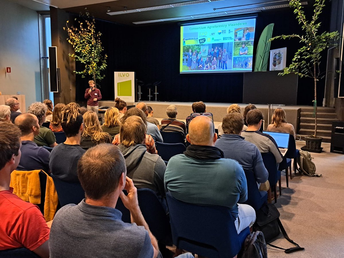 Wat levert 10 jaar wetenschappelijk onderzoek naar agroforestry  in Vlaanderen op en wat brengt de toekomst?
👉Lees het persbericht: ilvo.vlaanderen.be/nl/nieuws/10-j…