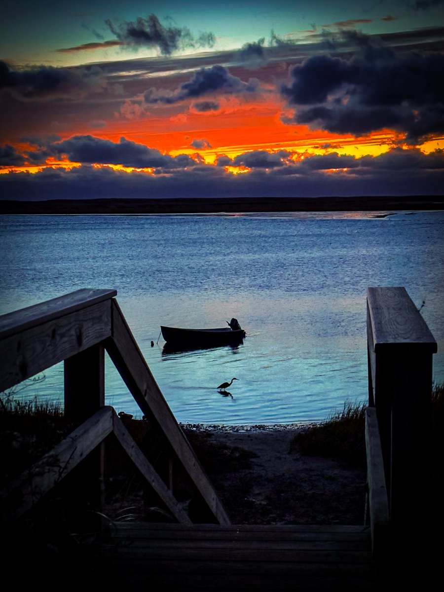 shoreline solitude

#sunrise