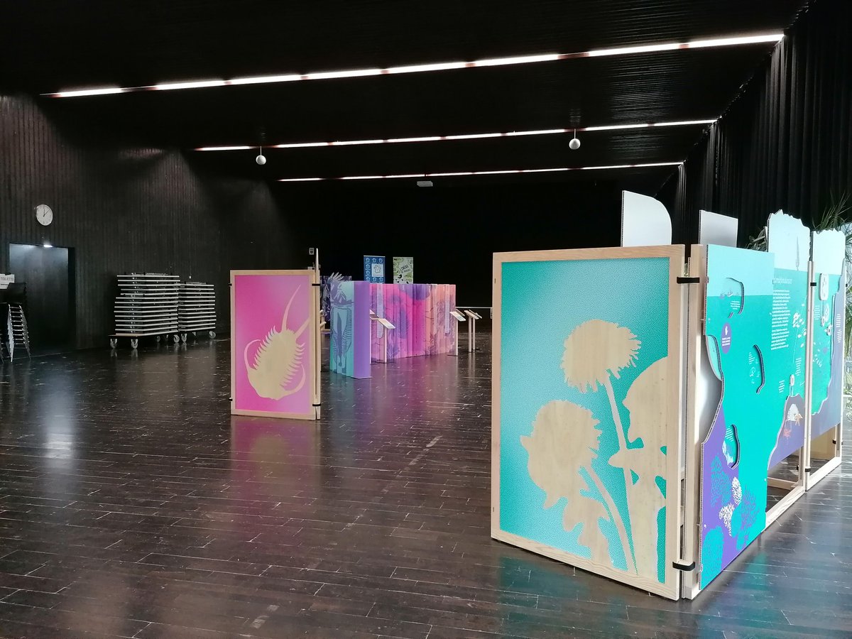 Ombelliscience tweet media