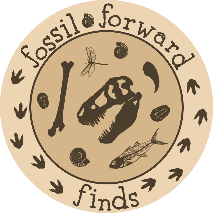 FossilThrift's tweet photo. Get $5 Off your first purchase of $10 or More!
If you have not made a purchase on #District before, use the code #FOSSILFORWARD for $5 off your first purchase https://t.co/XsVJBIsItn