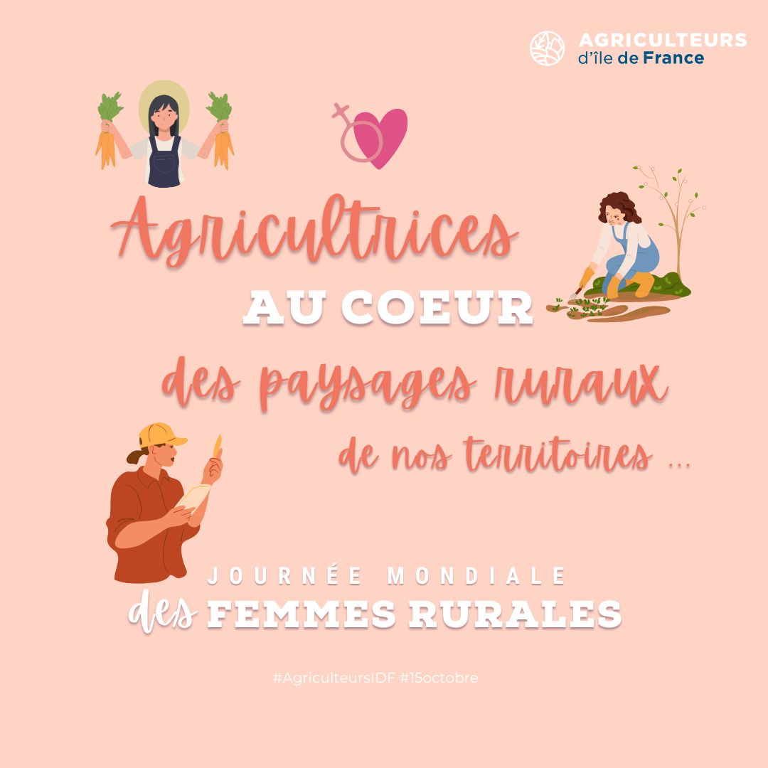 👉Hommage aux femmes qui oeuvrent pour nos territoires ruraux et dynamiques🌾en cette #JournéeInternationaleDesFemmesRurales Elles représentent 1/4 de la population et travaillent comme agricultrices, entrepreneures ou salariées agricoles. 30% des actifs en IDF sont des femmes👩🏻‍🌾