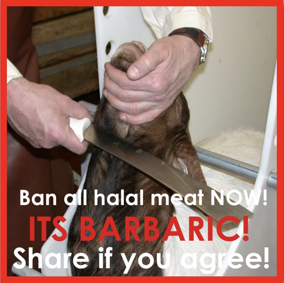 WendtheWalker's tweet image. 