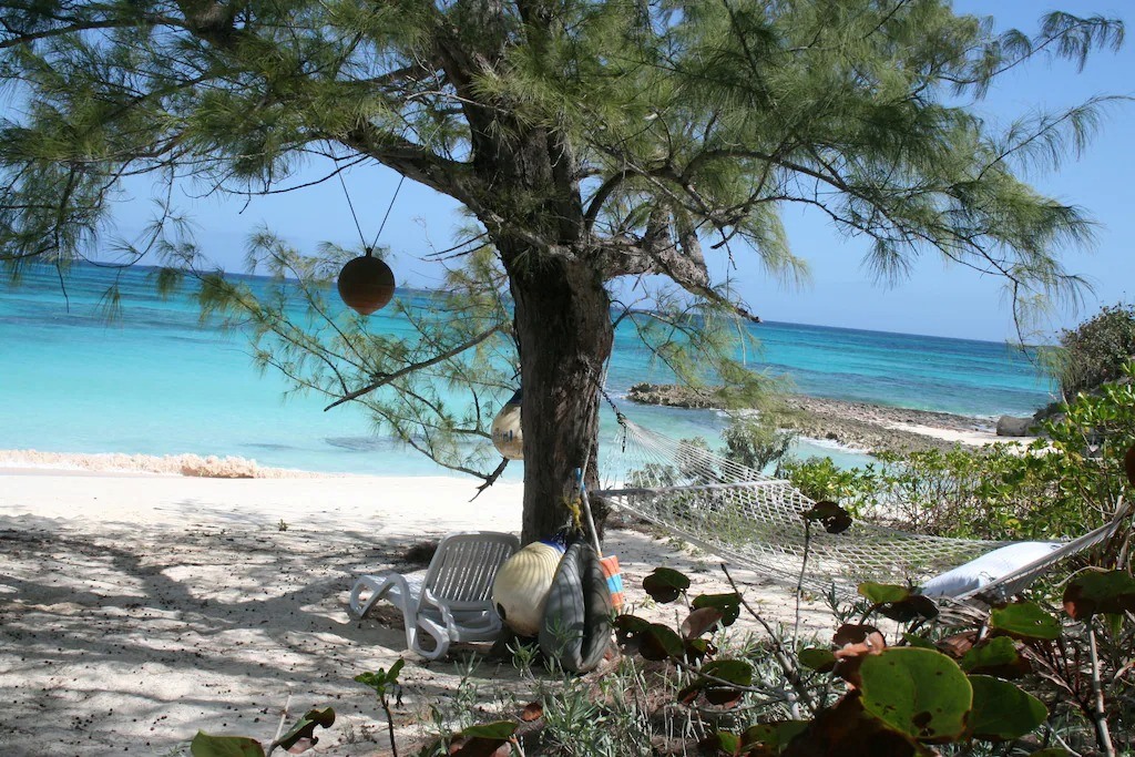 TropicalImpulse's tweet photo. Experience the beauty of #Eleuthera with #BeachViewVacationHomeRentals at #TropicalImpulse! Enjoy stunning #OceanVistas &amp; a relaxing atmosphere. Book your #TropicalGetaway today! https://t.co/C93cpq6GWe
#IslandEscape #CaribbeanVacation #RelaxInParadise #ExploreEleuthera https://t.co/Ai8VFFrtkC