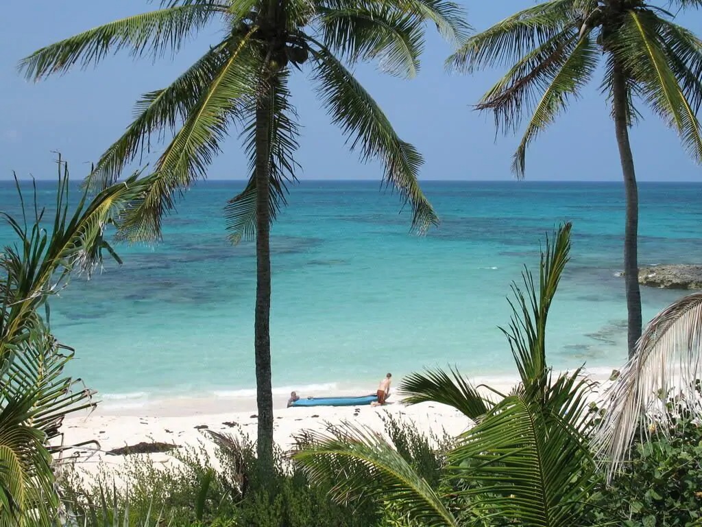 TropicalImpulse's tweet photo. Experience the beauty of #Eleuthera with #BeachViewVacationHomeRentals at #TropicalImpulse! Enjoy stunning #OceanVistas &amp; a relaxing atmosphere. Book your #TropicalGetaway today! https://t.co/C93cpq6GWe
#IslandEscape #CaribbeanVacation #RelaxInParadise #ExploreEleuthera https://t.co/Ai8VFFrtkC