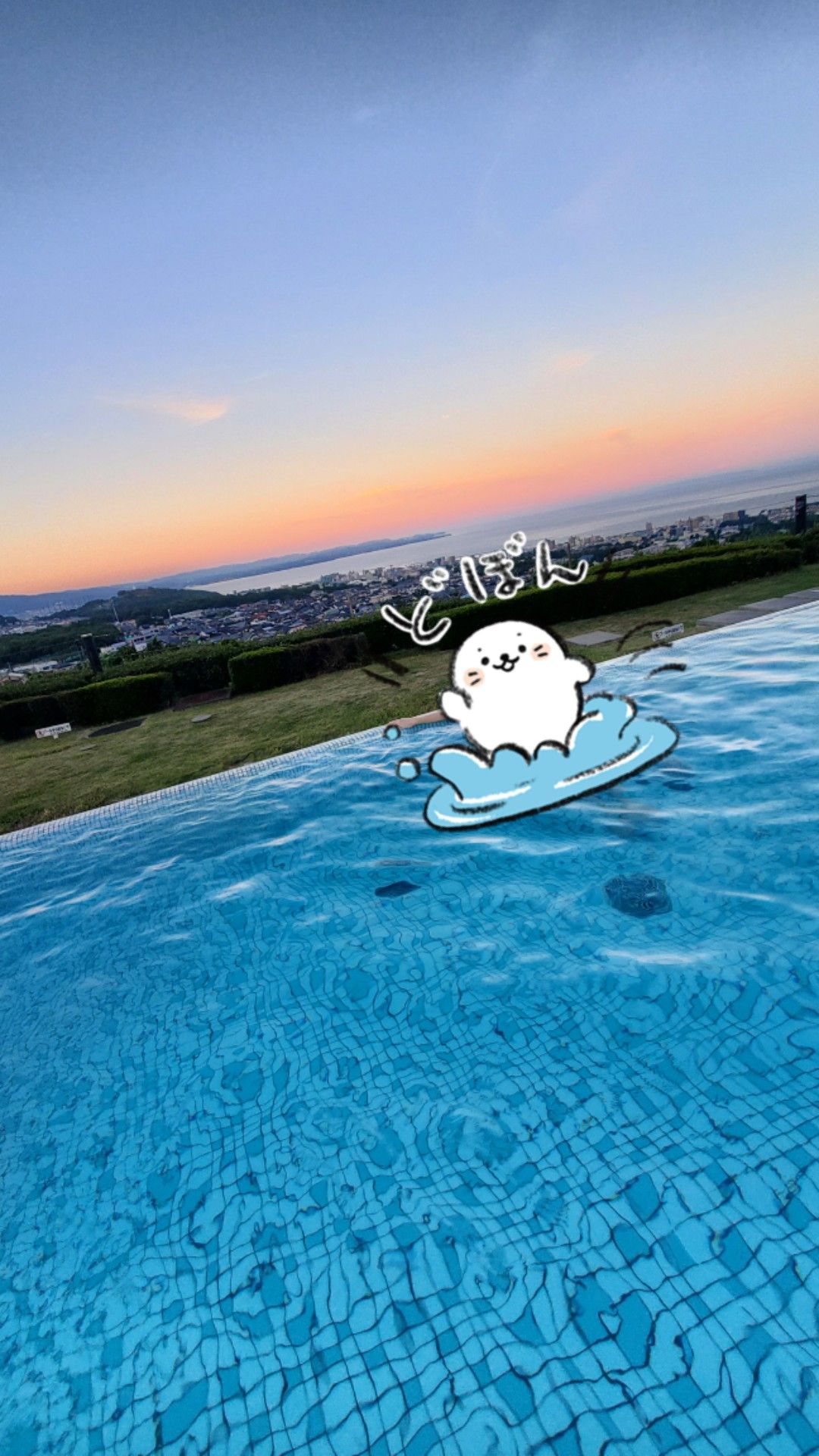 のりぴー (@sirotan1999) / X
