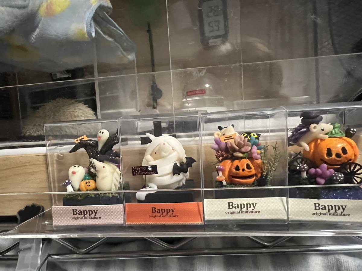 BitterPure's tweet photo. #Bappy(@zakkabappy )さん
ハロウィン🎃👻
後ろにぶろんを添えて https://t.co/S3Y7XMZ2Ux