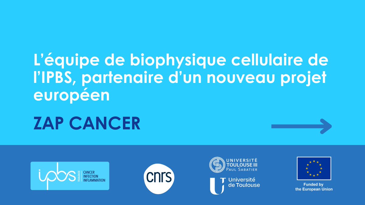 Isabelle Saves (@isabellesaves1) on Twitter photo #ZAPCancer un nouveau projet #HorizonEurope impliquant l’IPBS-Toulouse <a href="/CNRS_Toulouse/">CNRS Occitanie Ouest</a> <a href="/UT3PaulSabatier/">UT3 Paul Sabatier</a>)
Un projet collaboratif impliquant l’Institute of Oncology Ljubljana (coord), U. of Ljubljana, Medizinische Universität Graz, KU Leuven et Consiglio Nazionale delle Ricerche #ZAPCancer un nouveau projet #HorizonEurope impliquant l’IPBS-Toulouse <a href="/CNRS_Toulouse/">CNRS Occitanie Ouest</a> <a href="/UT3PaulSabatier/">UT3 Paul Sabatier</a>)
Un projet collaboratif impliquant l’Institute of Oncology Ljubljana (coord), U. of Ljubljana, Medizinische Universität Graz, KU Leuven et Consiglio Nazionale delle Ricerche