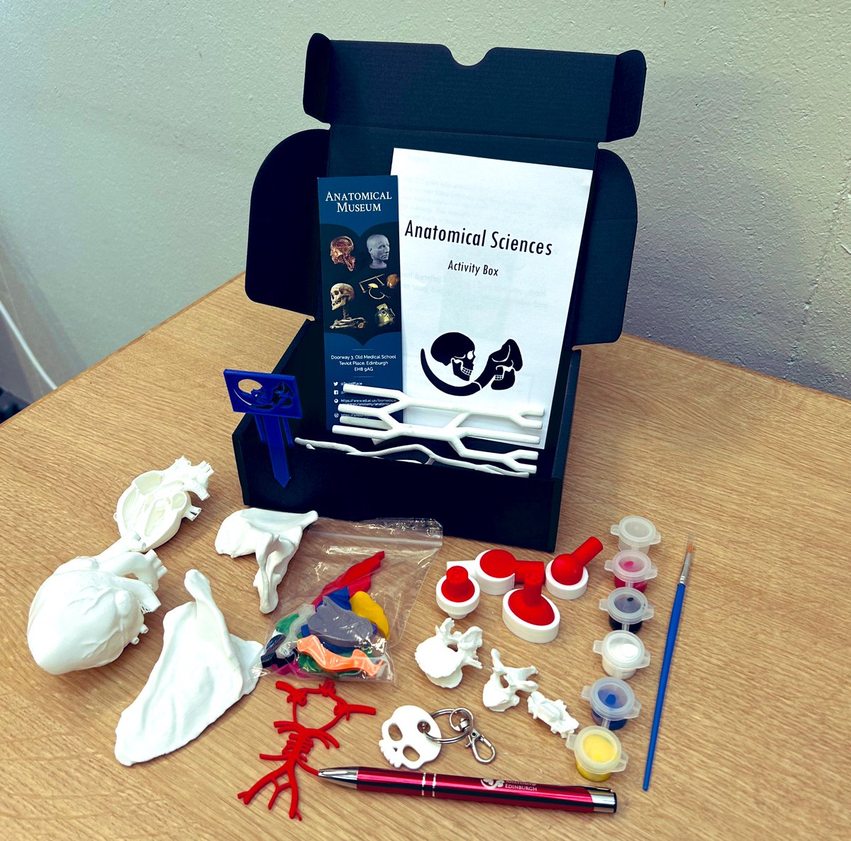 Happy #worldanatomyday! 

Did you know that all students on our online #anatomy programme get an exciting box of helpful models and activities to enhance learning?

Find out more about what we offer here:

postgraduate.degrees.ed.ac.uk/?id=890&r=site…
