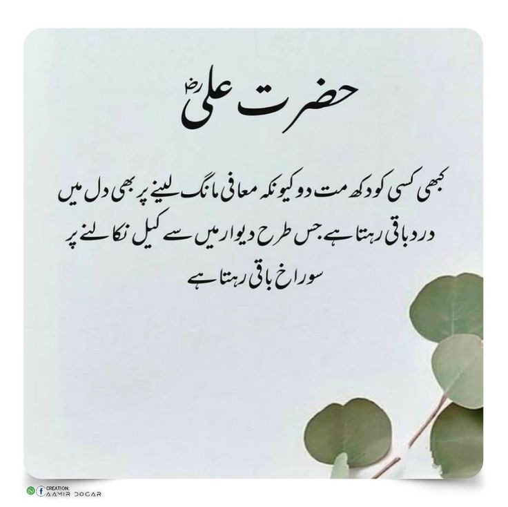 Noor_ul_Huda tweet media