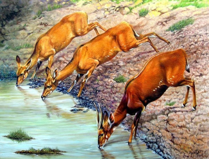 KATYAYAN VAJPAYEE tweet media