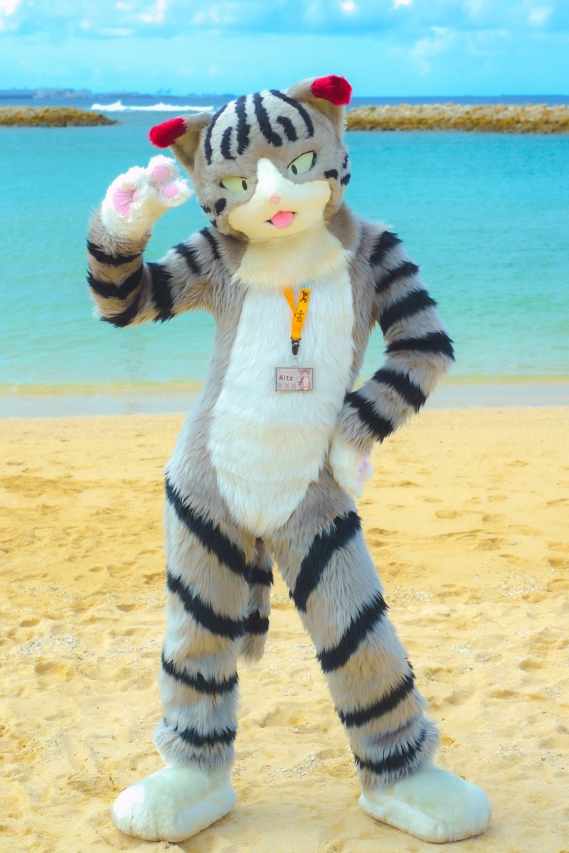 Altz214's tweet image. 最近繋がった方も多いので改めて自己紹介!
【着ぐるみ】
クエストっていうネコがいます🐱
7年前くらいに自作しました🪡
せっかくなので先週のおきけもの写真貼っときます🏖️
(📷@JyakiganKatana / 勝手ながら少し加工させていただきました)