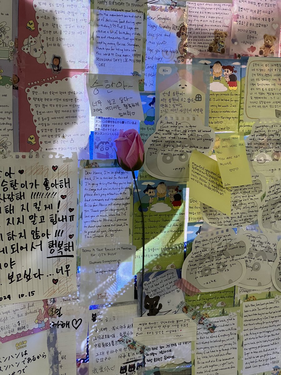 꽃、、、🌷 너무 예뻐요 
승한이 앞날에 꽃길만 있길