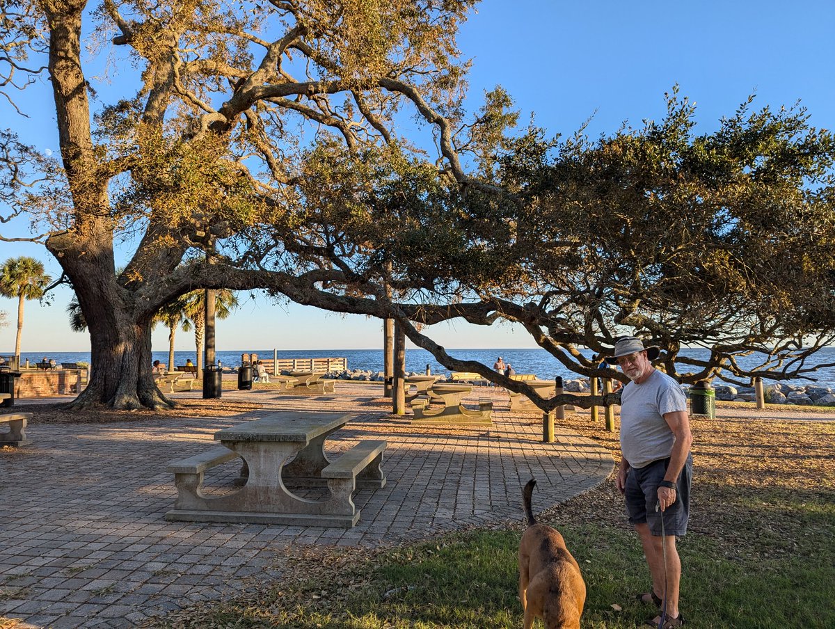 Jenn - Now with Extra Salt tweet media